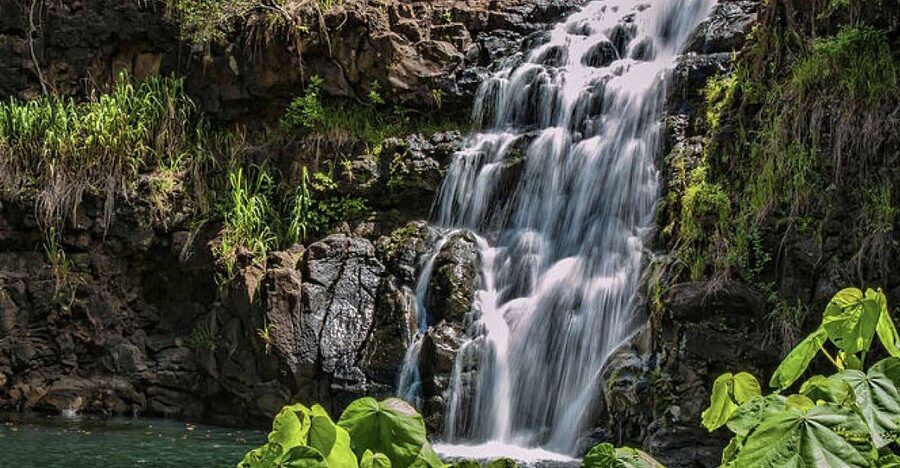 Oahu Hidden Gems & Waimea Botanical Garden/Waterfall tour - Pali Lookout and the mountain road