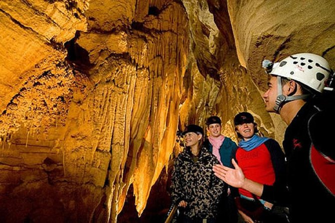 Odyssey Sensory Maze Entry Auckland Ticket - Booking flexibility and practical details