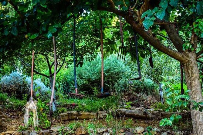 Off-Road Safari, Traditional Villages & Botanic Garden Walk - Who Will Enjoy This Most