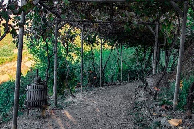 Off-Road Safari, Traditional Villages & Botanic Garden Walk - Should You Book This Chania 4x4 Tour?