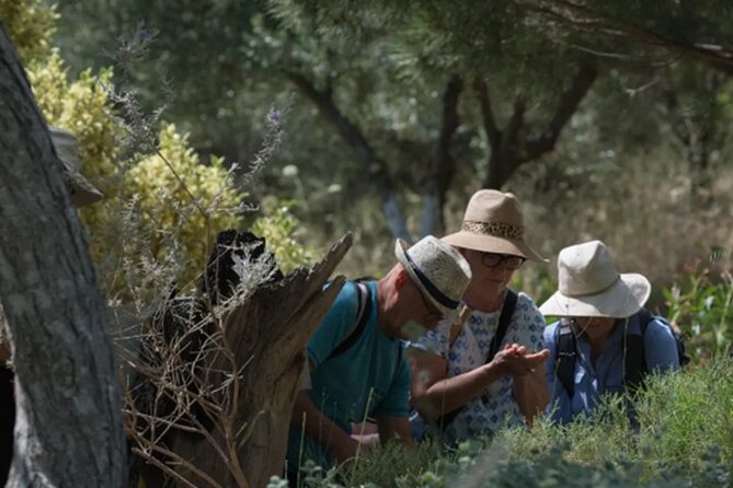 Off-Road Safari, Traditional Villages & Botanic Garden Walk - Small Stops, Snacks, and Photo Breaks