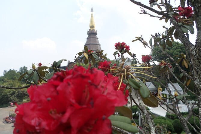 One day Doi Inthanon National Park & Trekking on Kew Mae Pan - Angkha Nature Trail adds a gentler forest walk