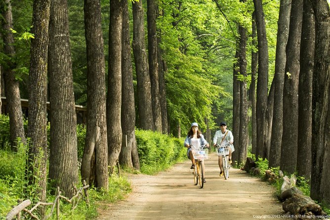 One Day Private Tour-Nami, Petite and Garden of Morning Calm - Petite France brings a themed change of pace