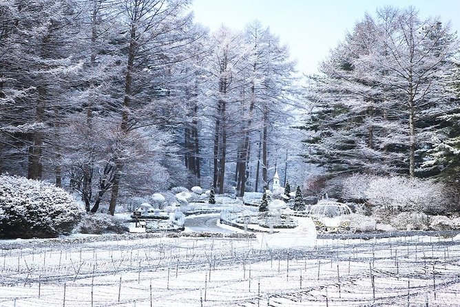 One Day Private Tour-Nami, Petite and Garden of Morning Calm - Lunch, timing, and the $309 price
