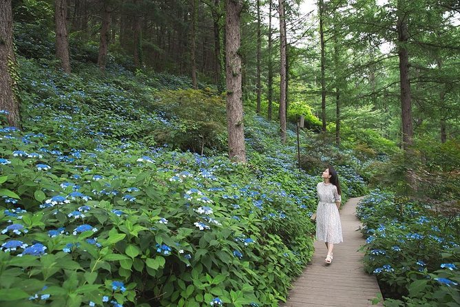 One Day Private Tour-Nami, Petite and Garden of Morning Calm - Who will get the most from this private day
