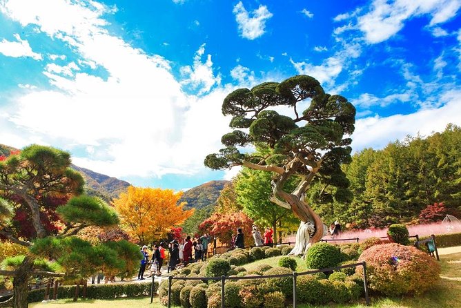 One Day Private Tour-Nami, Petite and Garden of Morning Calm - Nami Island: the day’s scenic centerpiece