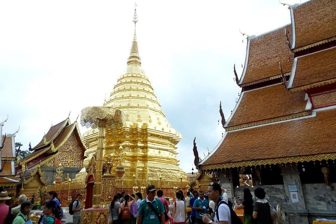 One Day Tour Doi Suthep Temple, Palad Temple, Orchid Farm, Longneck hill tribe village (Private tour) - Wat Phra That Doi Suthep, Chiang Mai’s essential mountain temple