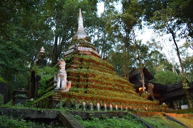 One Day Tour Doi Suthep Temple, Palad Temple, Orchid Farm, Longneck hill tribe village (Private tour) - Orchid and Butterfly Farm, a lighter middle stop