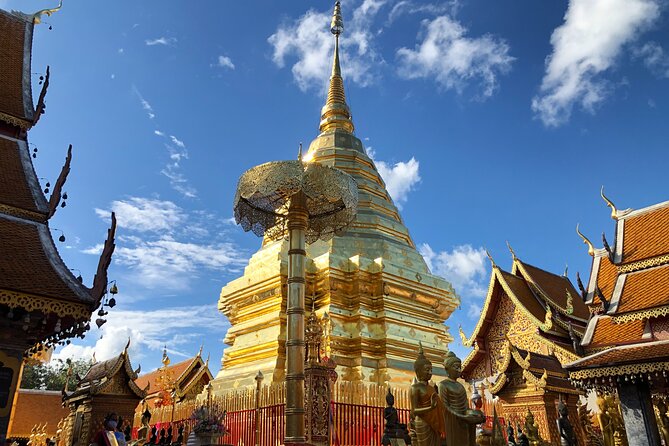One Day Tour Doi Suthep Temple, Palad Temple, Orchid Farm, Longneck hill tribe village (Private tour) - Khao Soi lunch, a taste of northern Thailand