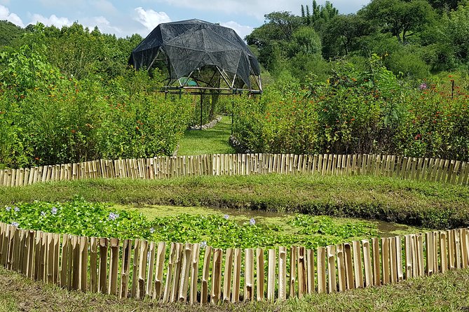 Openwork butterfly garden - Key points to know before you go