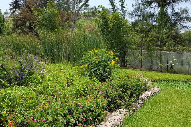 Openwork butterfly garden - Starting at Totlàli in Zumpahuacán