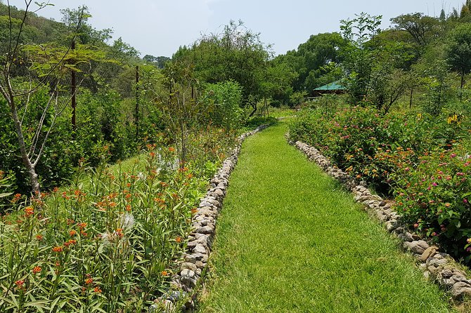 Openwork butterfly garden - What the experience feels like for families