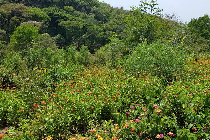 Openwork butterfly garden - Who will get the most from this visit