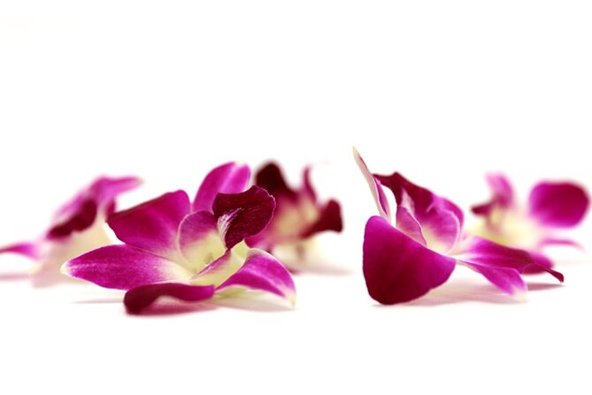 Orchid Airport Lei Greeting (Maui, Kahului Airport, OGG) - A lei welcome before the bags arrive