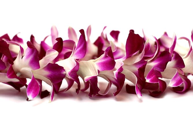 Orchid Airport Lei Greeting (Maui, Kahului Airport, OGG) - What happens in the 15-minute service