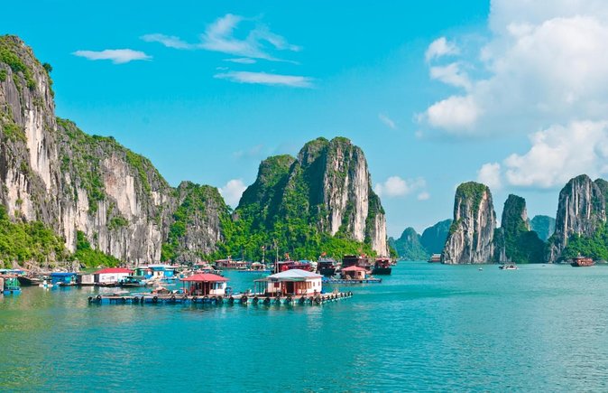 Orchid Cruise Halong Bay 3Days 2Night on 5 Star Cruise - Key points to know before booking