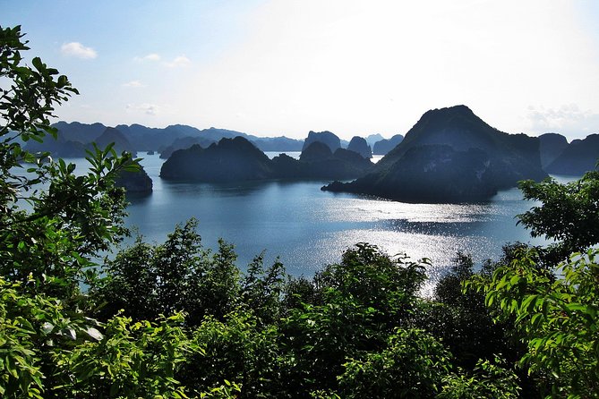 Orchid Cruises 2 Days/1Night 5 Star All included - From Hanoi Old Quarter to the water