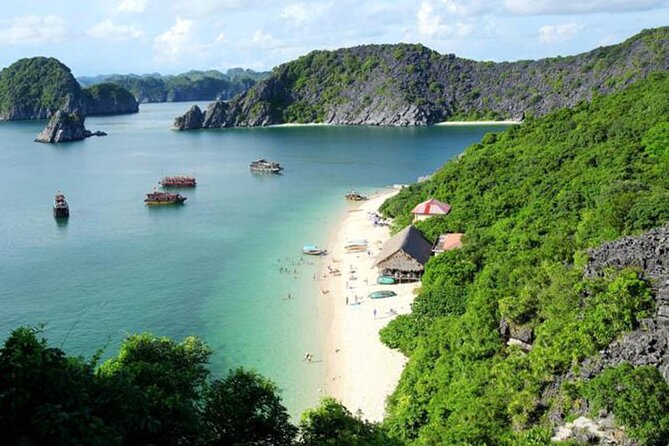 Orchid Cruises Halong Bay 2Days/1Night With 5 Star all included - Getting from Hanoi to Dinh Vu Port