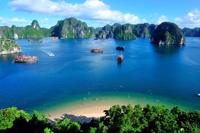 Orchid Cruises Halong Bay 2Days/1Night With 5 Star all included - Food, drinks, and the real cost of the package
