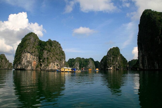Orchid Trendy Cruises 2Days/1 Night 5 Star Cruises - Key things to know before booking
