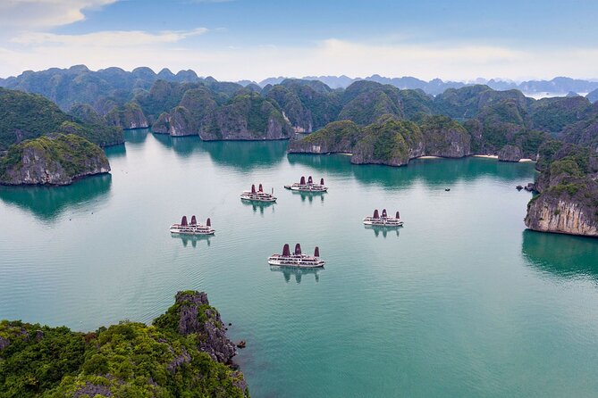 Orchid Trendy Cruises 2Days/1 Night 5 Star Cruises - Exploring Ha Long Bay and Lan Ha Bay
