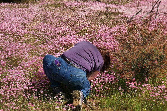 Orchids and Wildflowers Photographic Day tour from Perth - The value of an orchid photographer as your guide