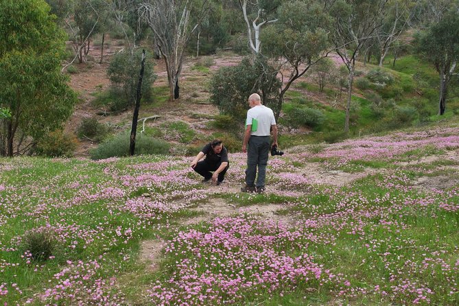 Orchids and Wildflowers Photographic Day tour from Perth - What $268.97 buys you