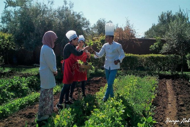 Organic Moroccan Cooking Class At Secret Berber Garden CT - Preparing tagines and couscous