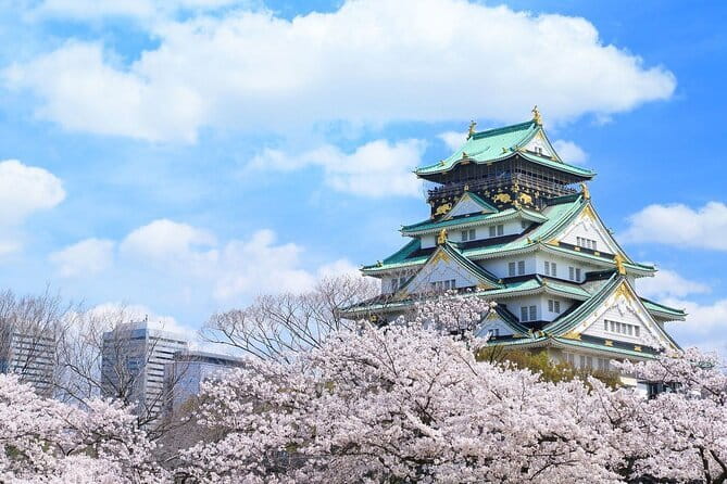 Osaka and Nara Attractive One Day private Tour - Osaka and Nara in one long, useful day