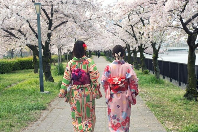 Osaka Private Cherry Blossom Tour with a Local – Picnic Included - Why a private hanami outing works well in Osaka