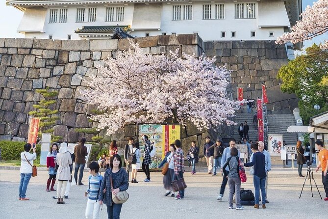 Osaka Private Cherry Blossom Tour with a Local – Picnic Included - Shitennoji and its spring garden