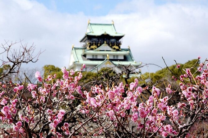 Osaka Private Cherry Blossom Tour with a Local – Picnic Included - What the picnic includes