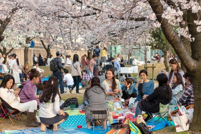 Osaka Private Cherry Blossom Tour with a Local – Picnic Included - The Osaka Mint Bureau’s short sakura window