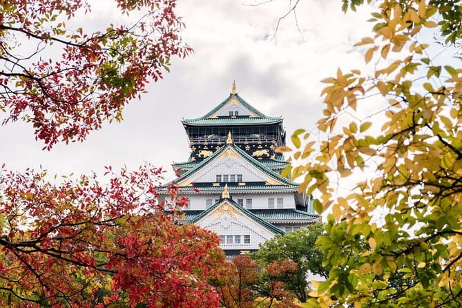 Osaka Spring Daytime (Cherry Blossom) Food Tour - Who will enjoy this tour most