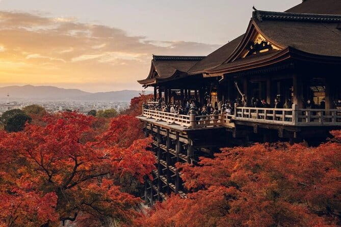 Osaka Spring Daytime (Cherry Blossom) Food Tour - Timing, weather, and cancellation details