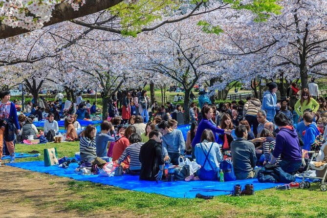 Osaka Spring Daytime (Cherry Blossom) Food Tour - Walking through Karahori during cherry blossom season