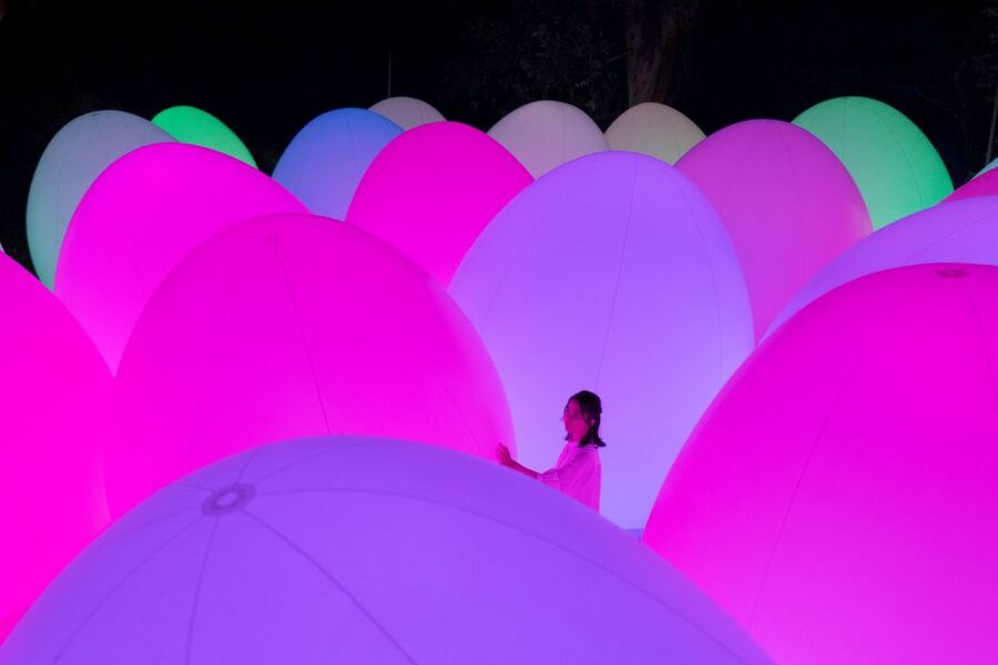 Osaka: teamLab Botanical Garden Entry Ticket - From 1,200 plant species to a night of light