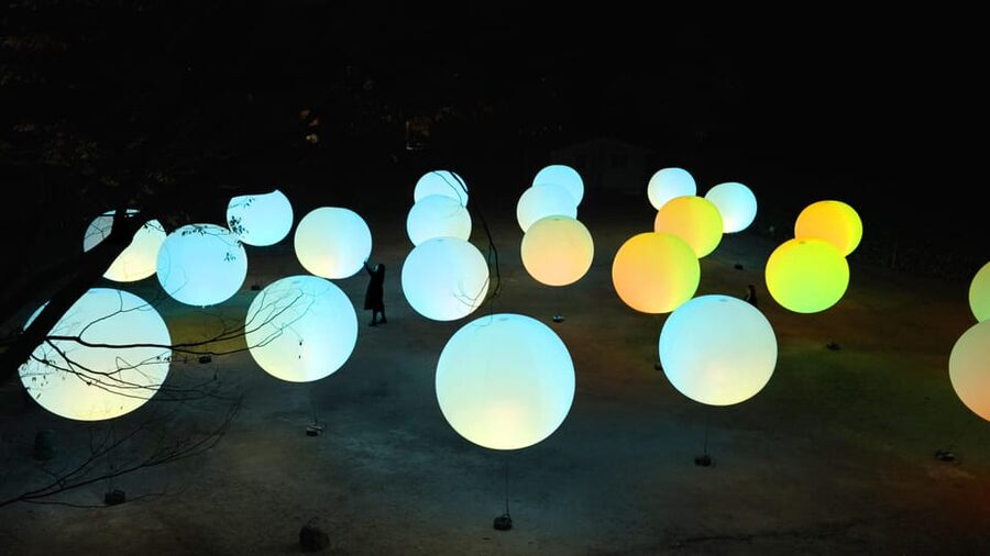 Osaka: teamLab Botanical Garden Entry Ticket - Should you book teamLab Botanical Garden Osaka?