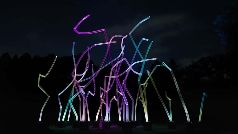 Osaka: teamLab Botanical Garden Entry Ticket - How the teamLab installations change after dark