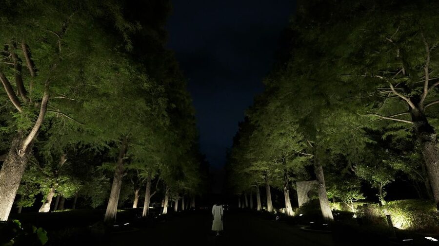 Osaka: teamLab Botanical Garden Entry Ticket - Why the outdoor format matters