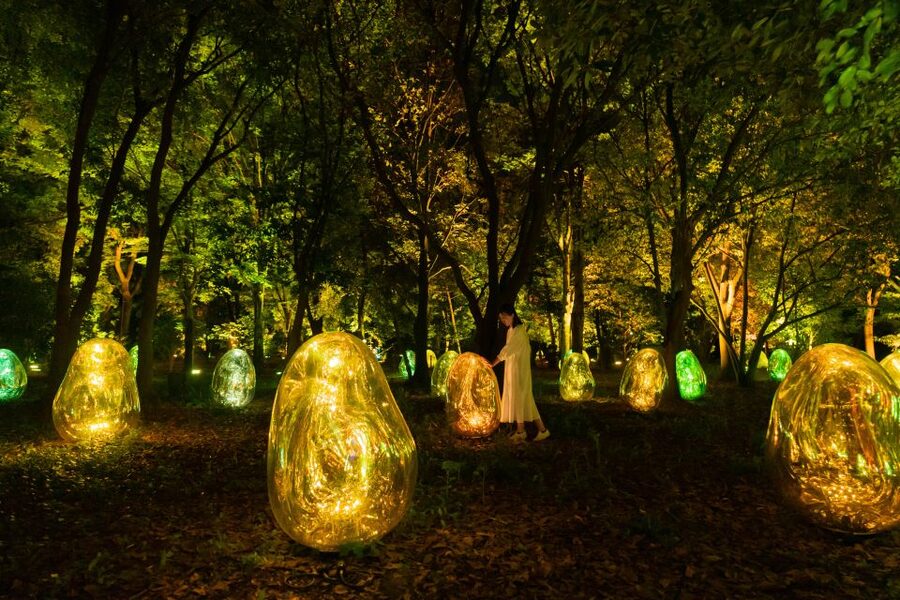 Osaka: teamLab Botanical Garden Entry Ticket - Getting there, arriving on time, and getting home