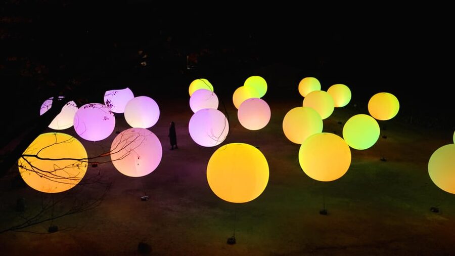 Osaka: teamLab Botanical Garden Entry Ticket - Who will enjoy this evening most?