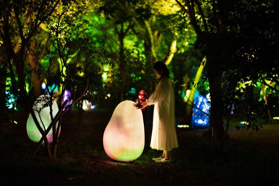 Osaka: teamLab Botanical Garden Entry Ticket - How to plan your visit around the seasons