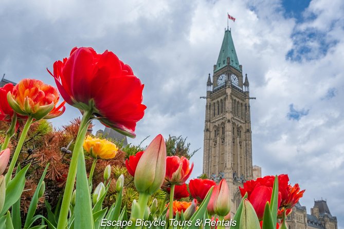Ottawa Spring Tulip Festival Bike Tour - Why this is a smart way to see Ottawa in May