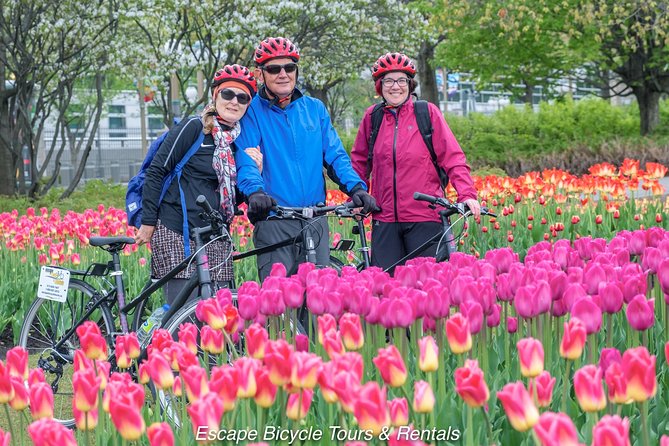 Ottawa Spring Tulip Festival Bike Tour - Dow’s Lake and the tulips