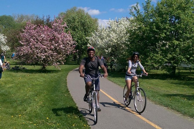 Ottawa Spring Tulip Festival Bike Tour - Little Italy by bicycle