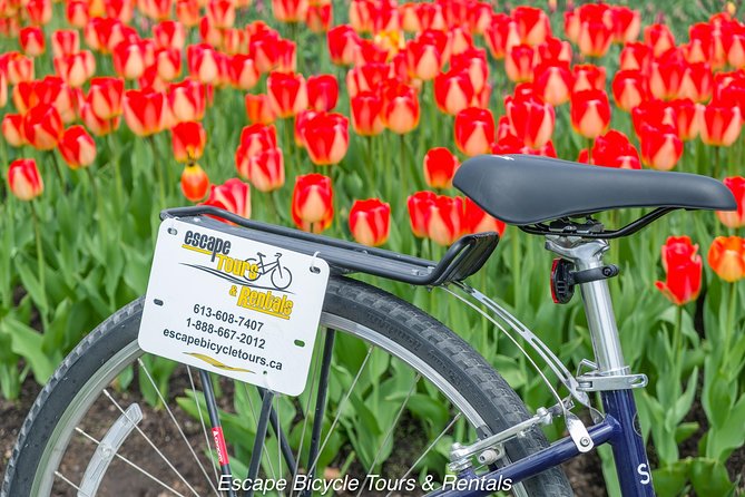 Ottawa Spring Tulip Festival Bike Tour - The Ottawa River Pathway