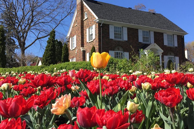 Ottawa Spring Tulip Festival Bike Tour - Canadian War Museum and Chaudière Falls