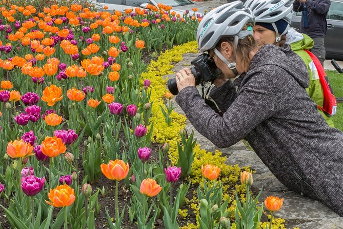 Ottawa Spring Tulip Festival Bike Tour - Lansdowne Park and the Glebe