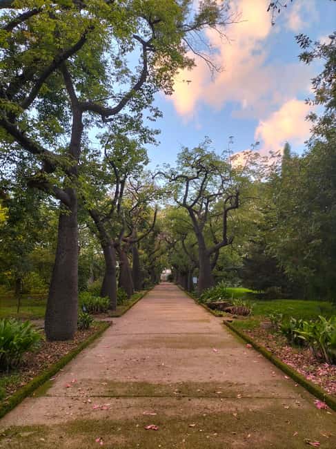 Palermo: Guided Tour of the Botanical Garden - Is $59 a fair price?
